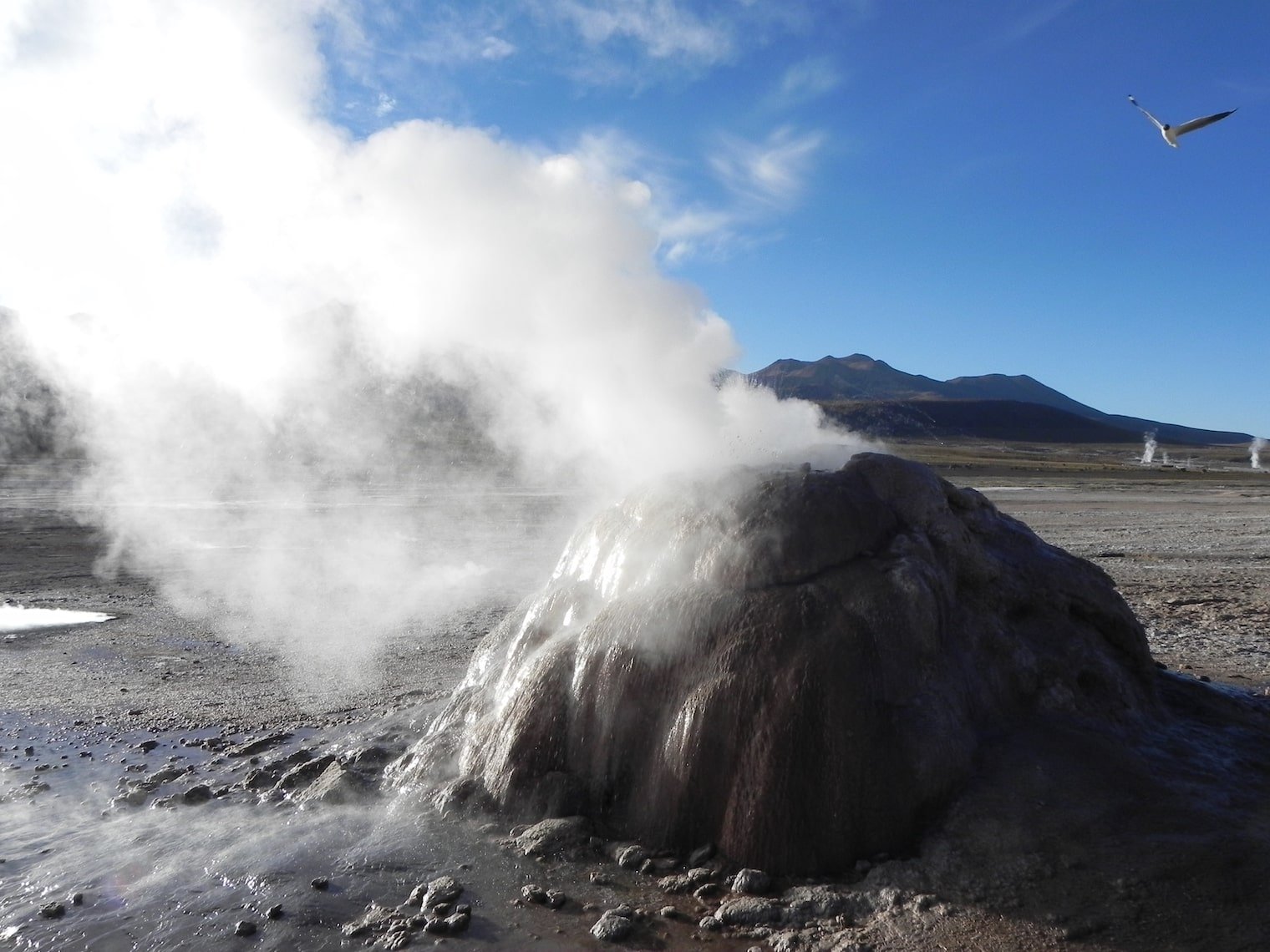 deserto do atacama geysers del tatio