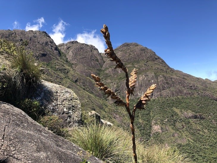 Serra da Mantiqueira trekking pico dos marins