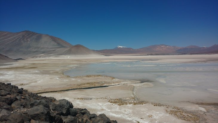 deserto do atacama ruta de los salares